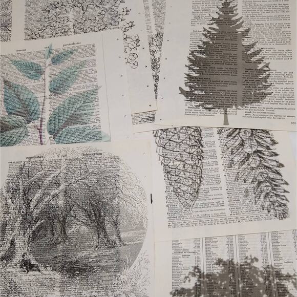 Tree Vintage Dictionary Prints, Flora Prints, Book Page Prints, Nature Decor - Picture 7 of 9